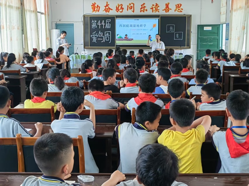 汉寿县岩汪湖小学开展第44届“爱鸟周”宣传活动