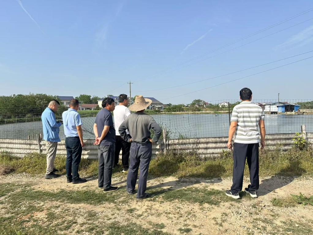 汉寿：聂家桥乡开展养殖水域安全生产专项检查行动