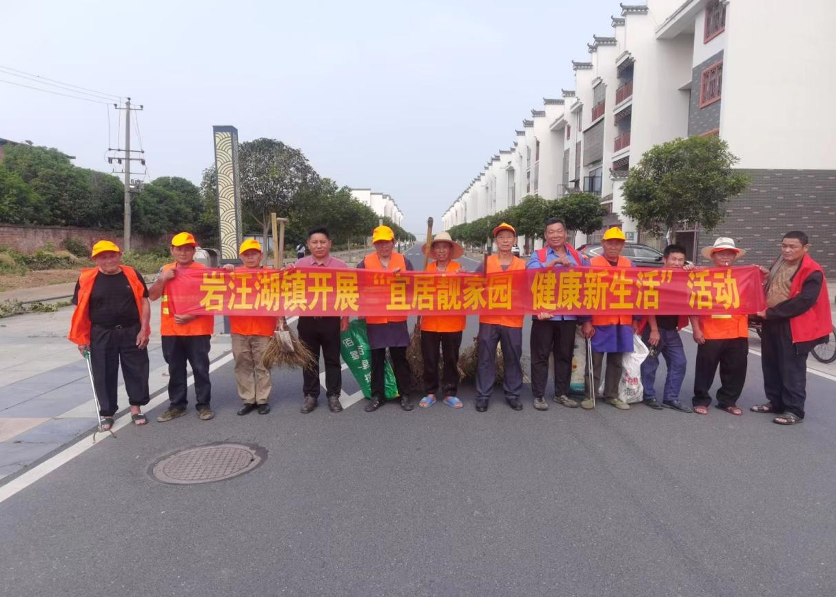 汉寿县岩汪湖镇开展“宜居靓家园 健康新生活”爱国卫生活动