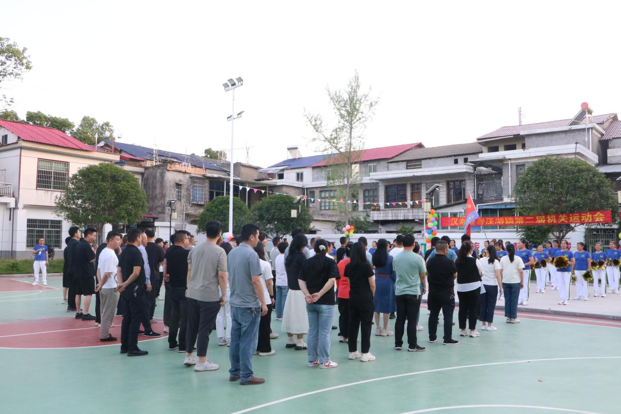 汉寿县岩汪湖镇：开幕燃情，拔河争锋