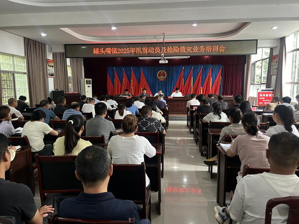 汉寿县罐头嘴镇：开展2025年汛前动员及抢险救灾业务培训会