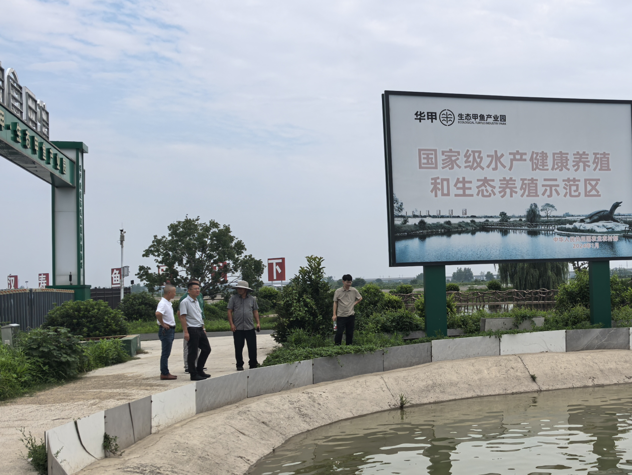 汉寿县特科所开展甲鱼繁育技术指导 为地理标志产品筑牢种质根基