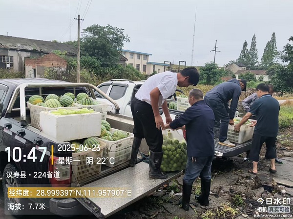 汉寿县罐头嘴镇:防汛一线的“菜篮子”守护者李永祥