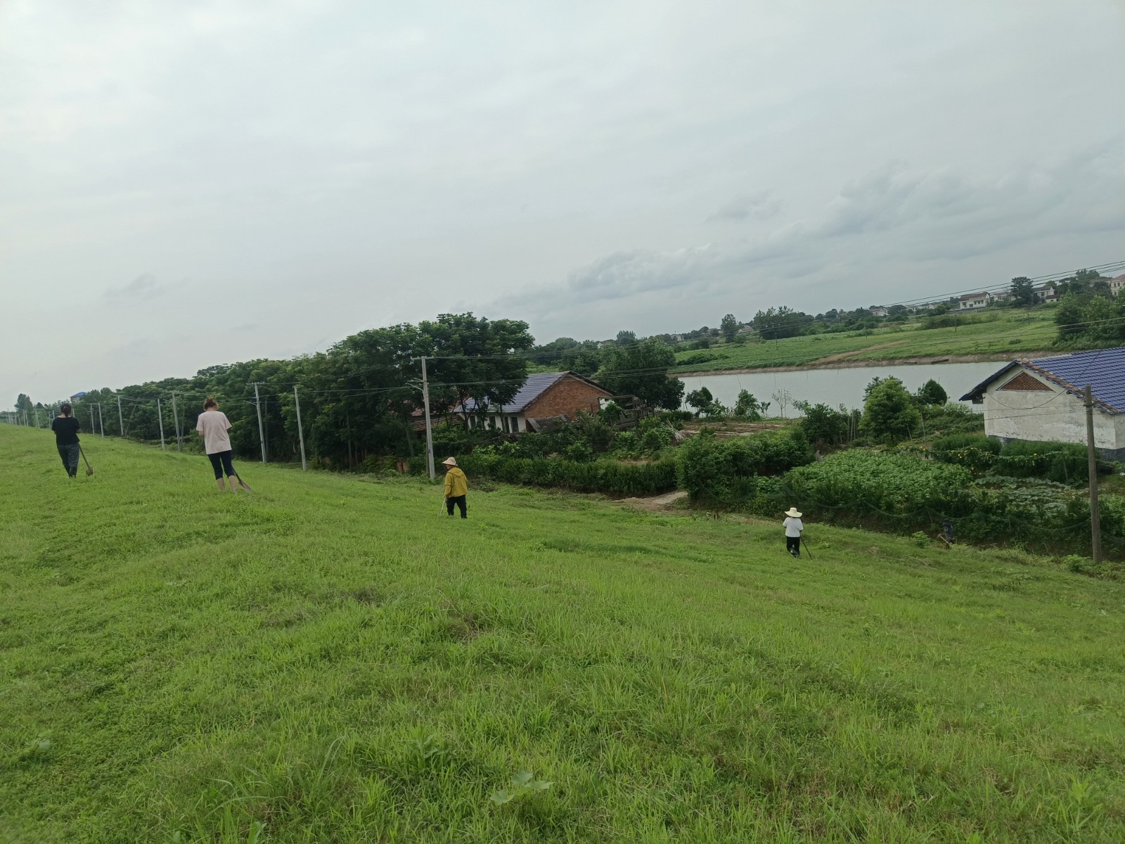 漢壽縣龍陽街道紀工委：以鐵紀護防汛安全堤壩