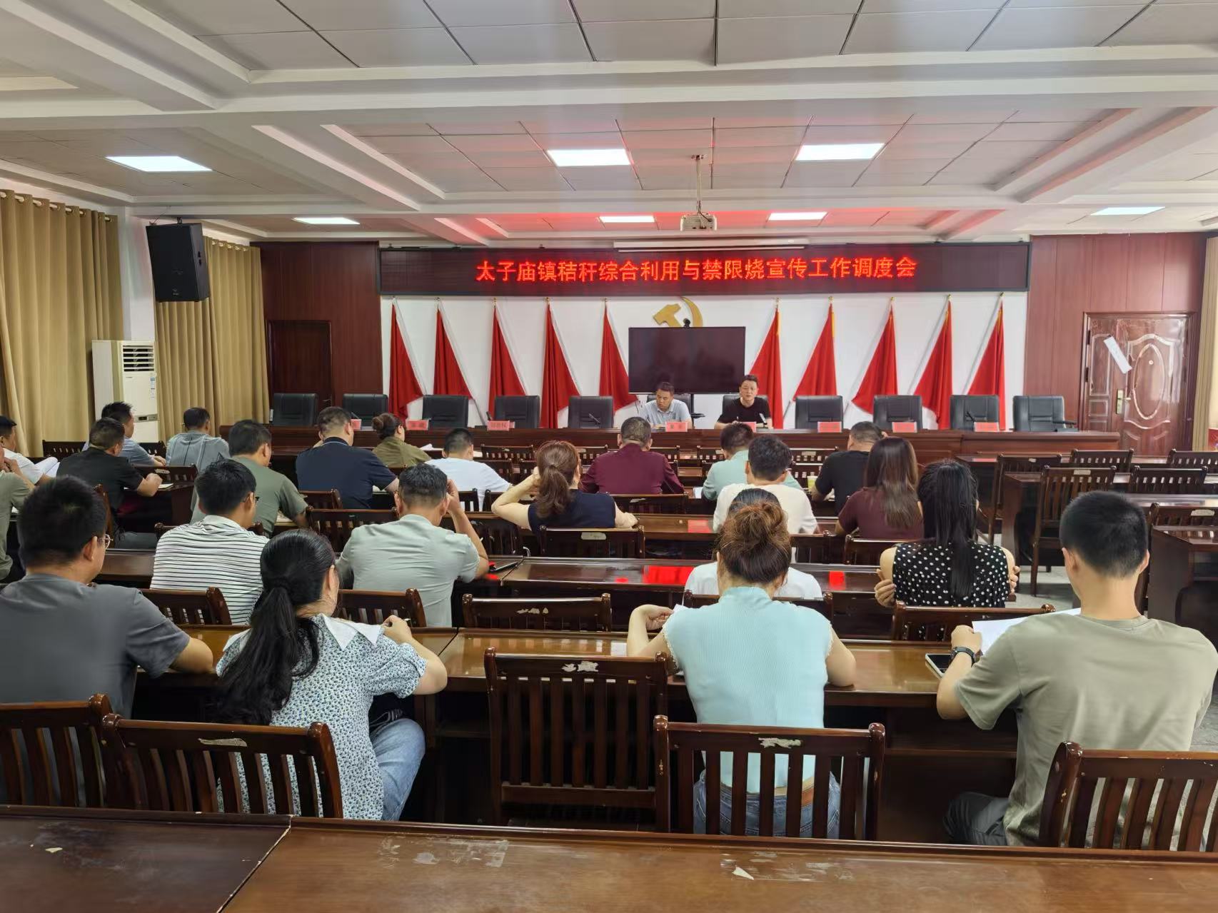 汉寿县太子庙镇：多举措推进，筑牢生态保护屏障