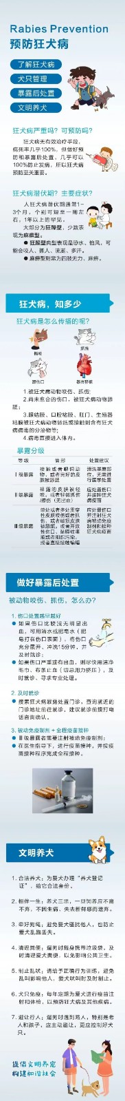 【健康教育】汉寿疾控：狂犬病预防、处置与文明养犬指南