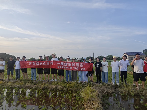 汉寿：罐头嘴镇青干班暮色田间续写双抢担当