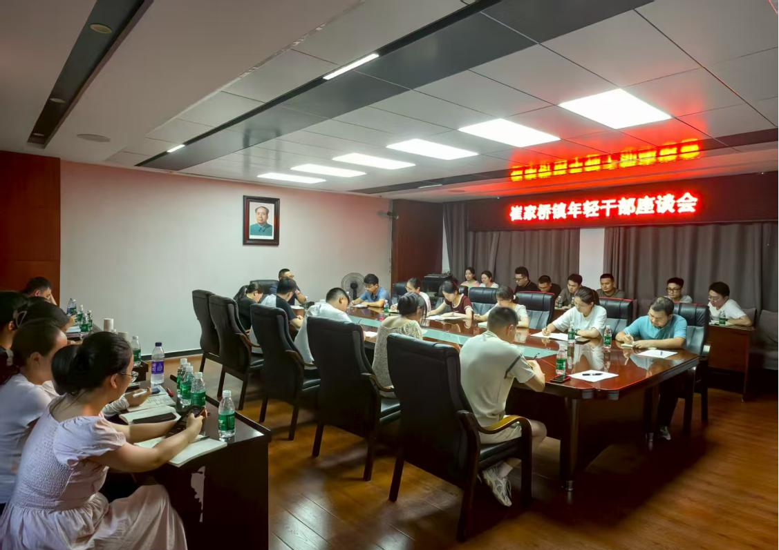 汉寿县崔家桥镇：召开年轻干部座谈会