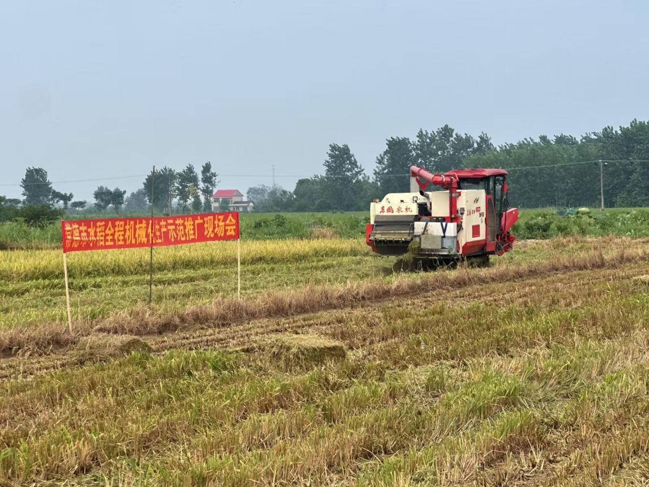 汉寿县岩汪湖镇：机械化助力农业“双抢”，奏响乡村振兴新乐章