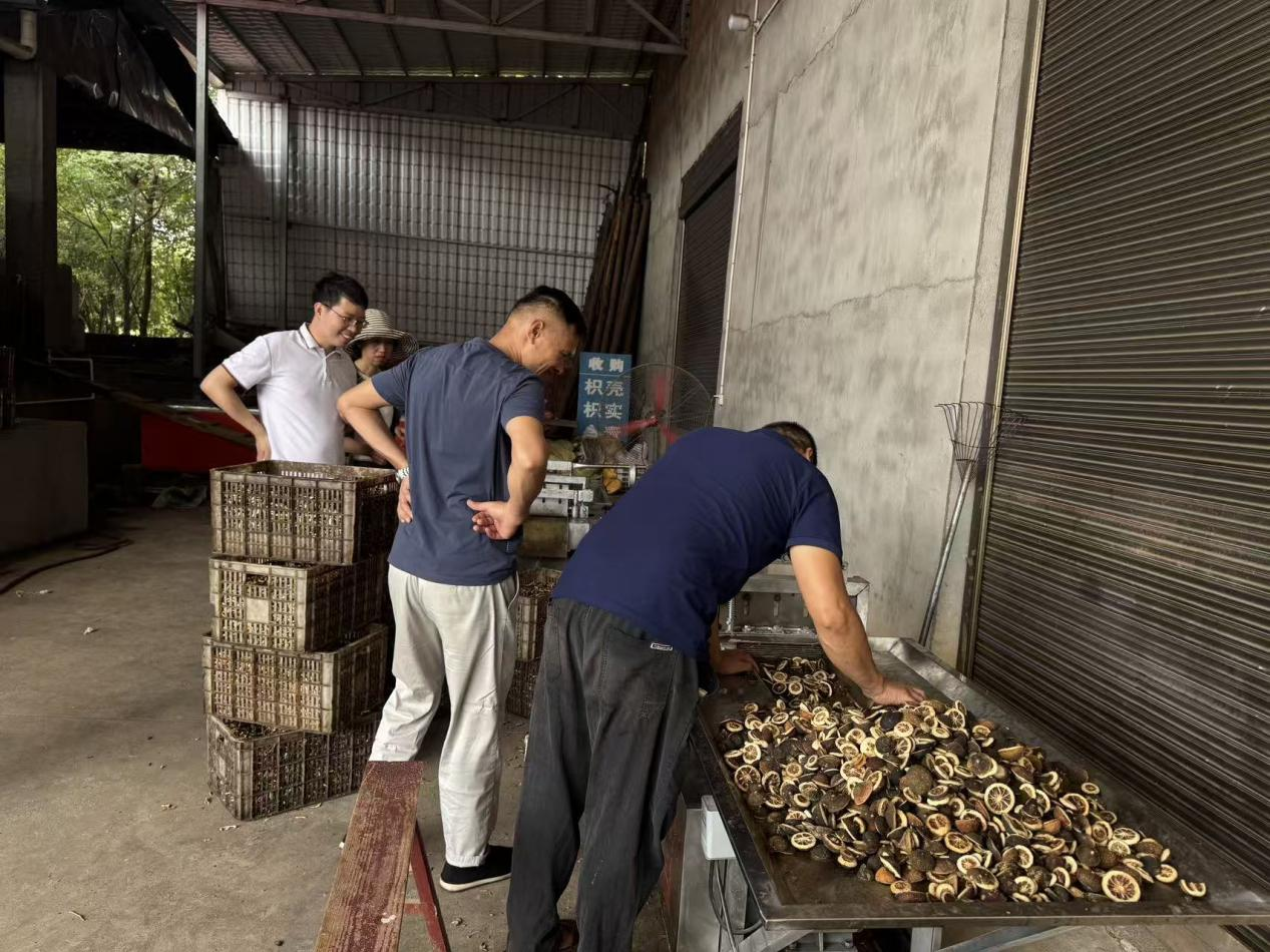 漢壽百祿橋鎮(zhèn)產(chǎn)業(yè)振興繪就“藥”好圖景