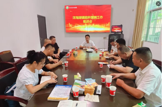 漢壽縣洋淘湖鎮(zhèn)：多措并舉，推進秸稈綜合利用與“禁燒”工作