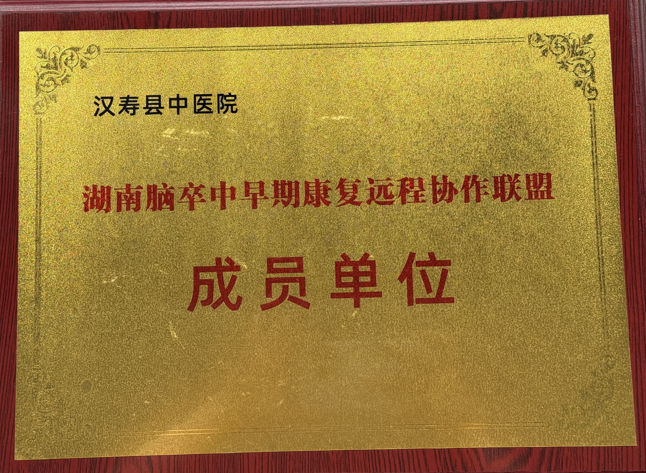 汉寿县中医医院：首批授牌加入湖南脑卒中早期康复远程协作联盟