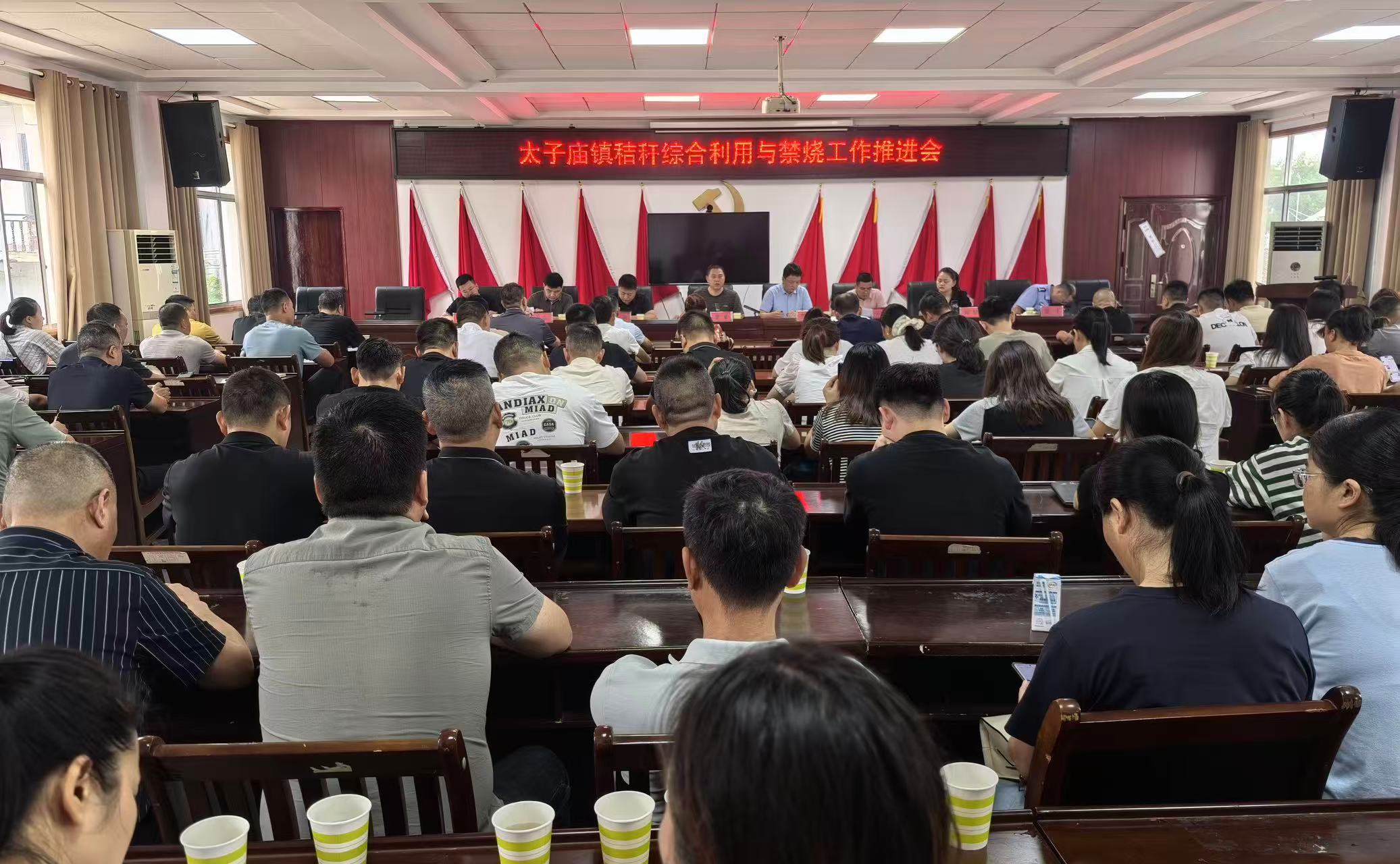 汉寿县太子庙镇：凝心聚力守护蓝天净土