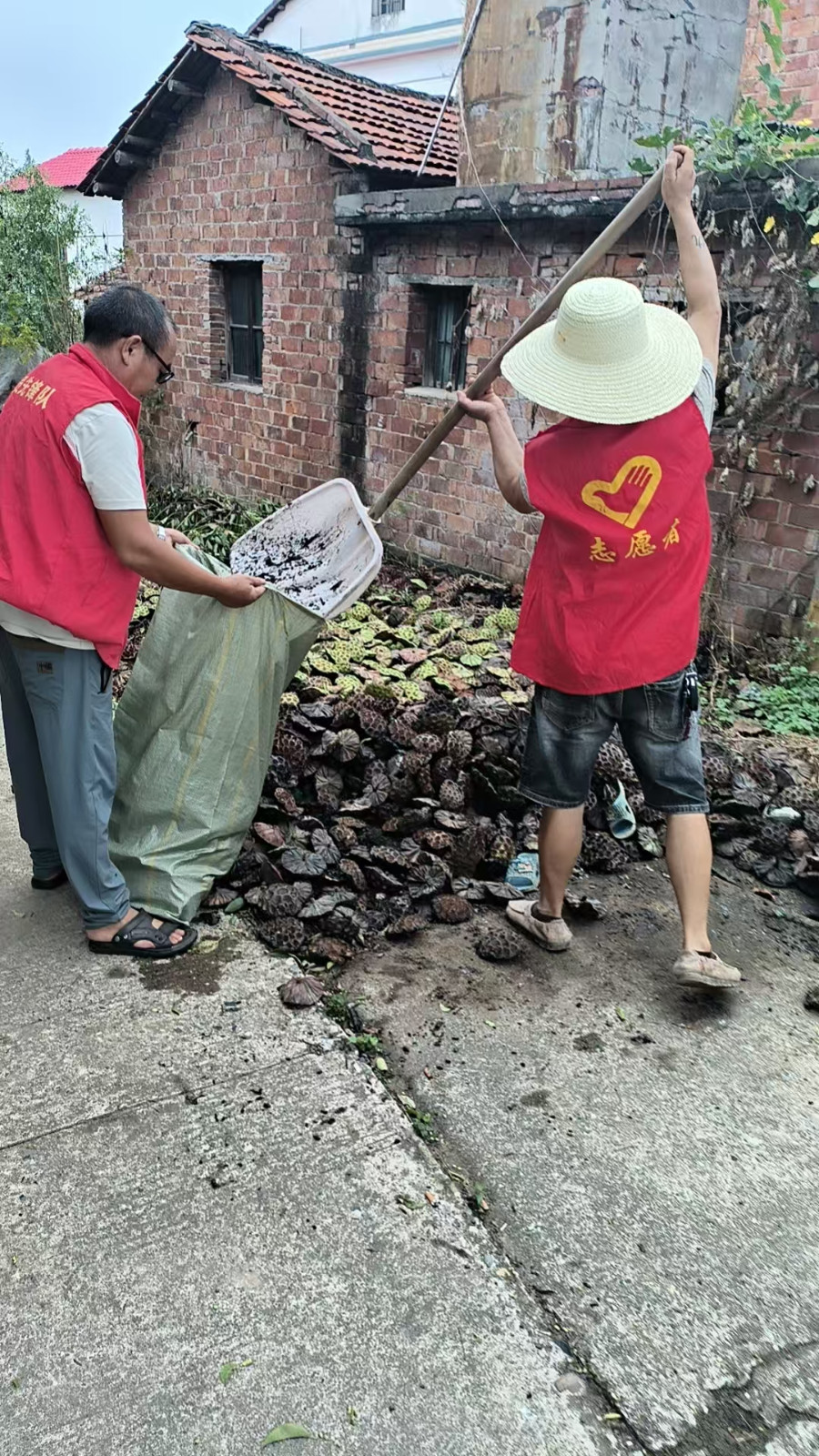 汉寿县洲口镇：提前谋划秸秆综合利用  助力绿色低碳发展