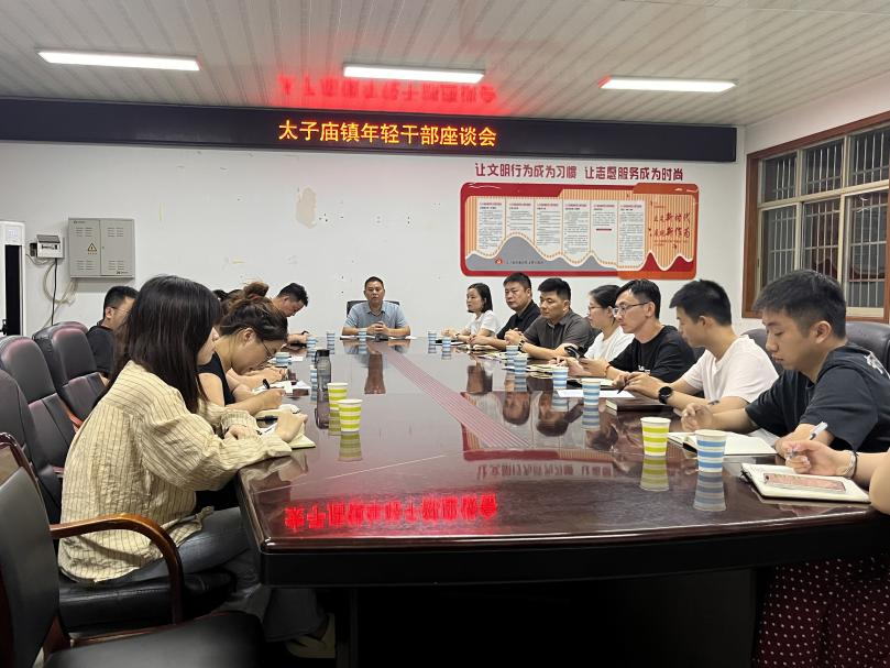 汉寿县太子庙镇：召开年轻干部座谈会