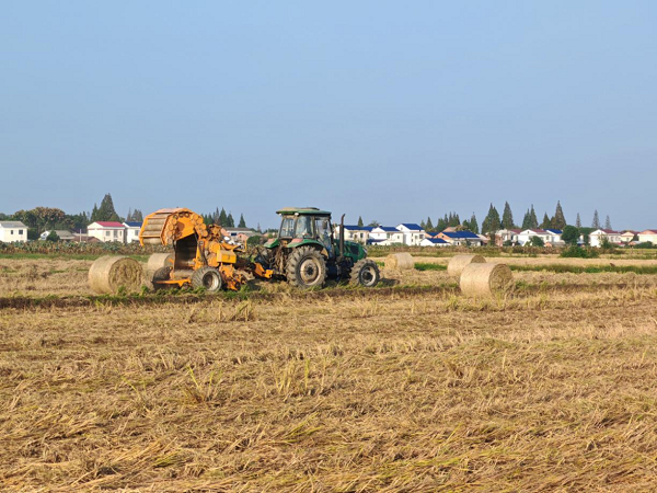 汉寿县酉港镇：“三链融合”激活秸秆综合利用新动能