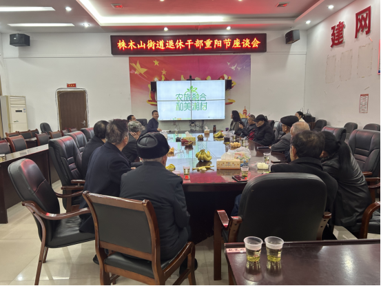 汉寿县株木山街道重阳座谈话发展 共谋乡村振兴新篇章