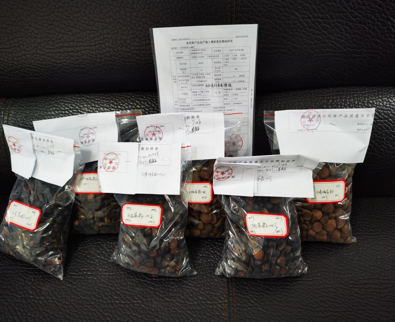 汉寿：油茶籽抽样送检，护航林产品安全与产业发展