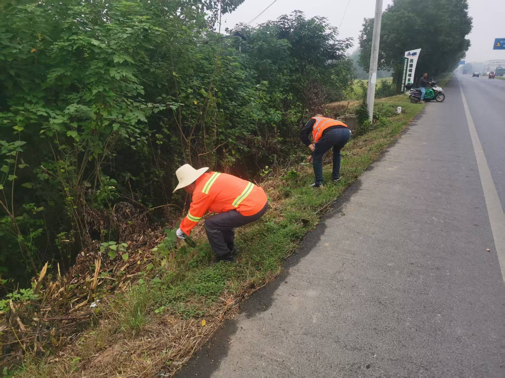 汉寿县公路建设养护中心：扎实推进秋季公路精细化养护