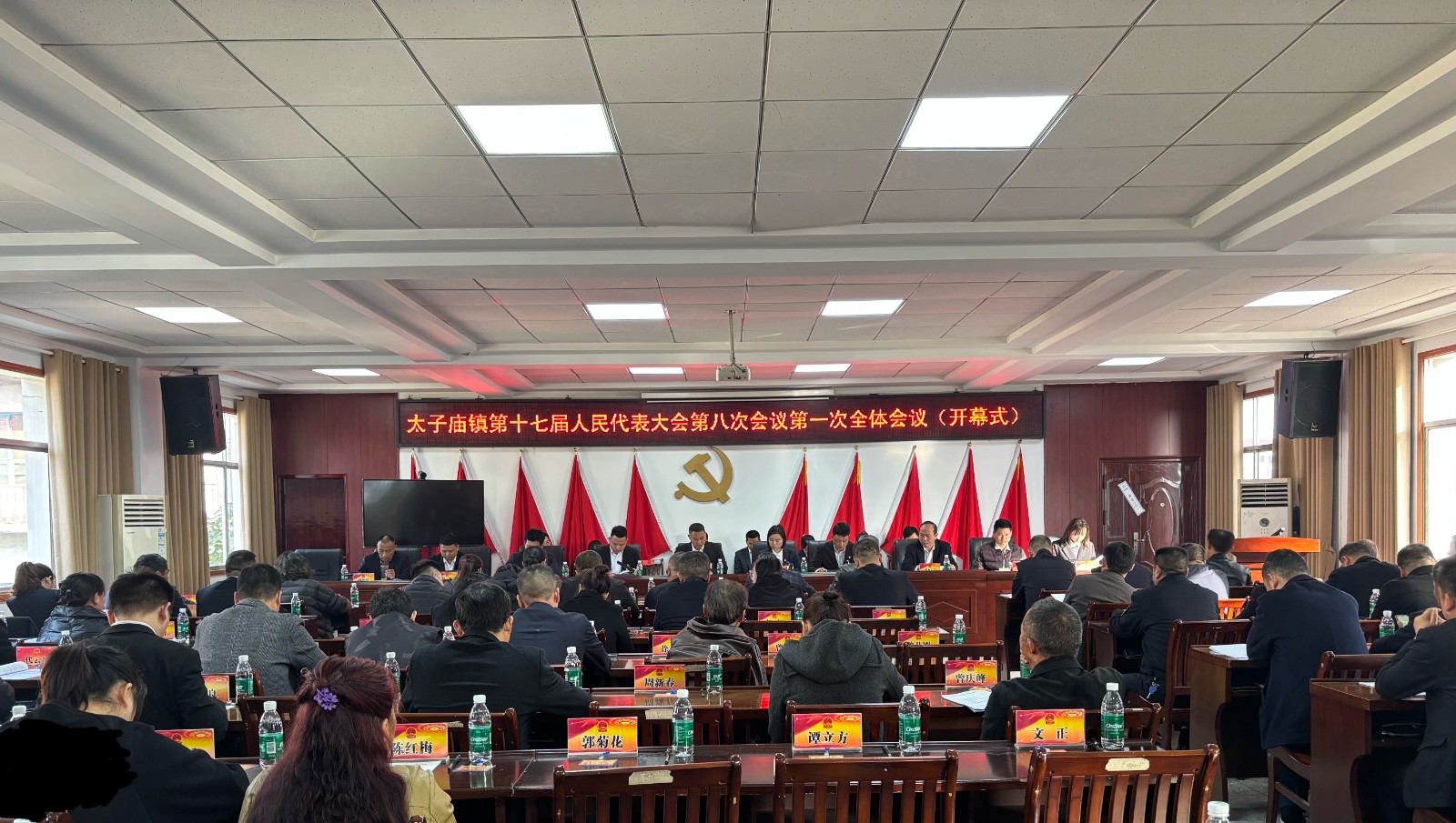 汉寿县太子庙镇:第十七届人民代表大会第八次会议胜利召开