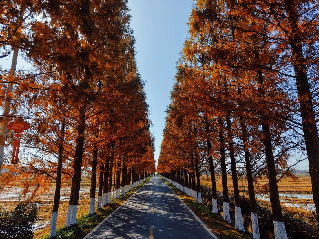 汉寿县聂家桥乡：秸秆综合映民生，休闲利民两相宜