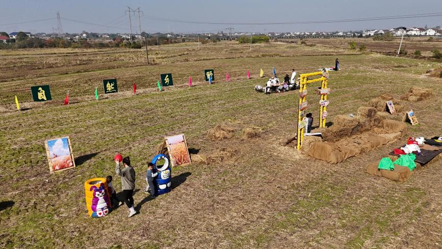 秋日限定：打卡汉寿县聂家桥乡的田野浪漫！