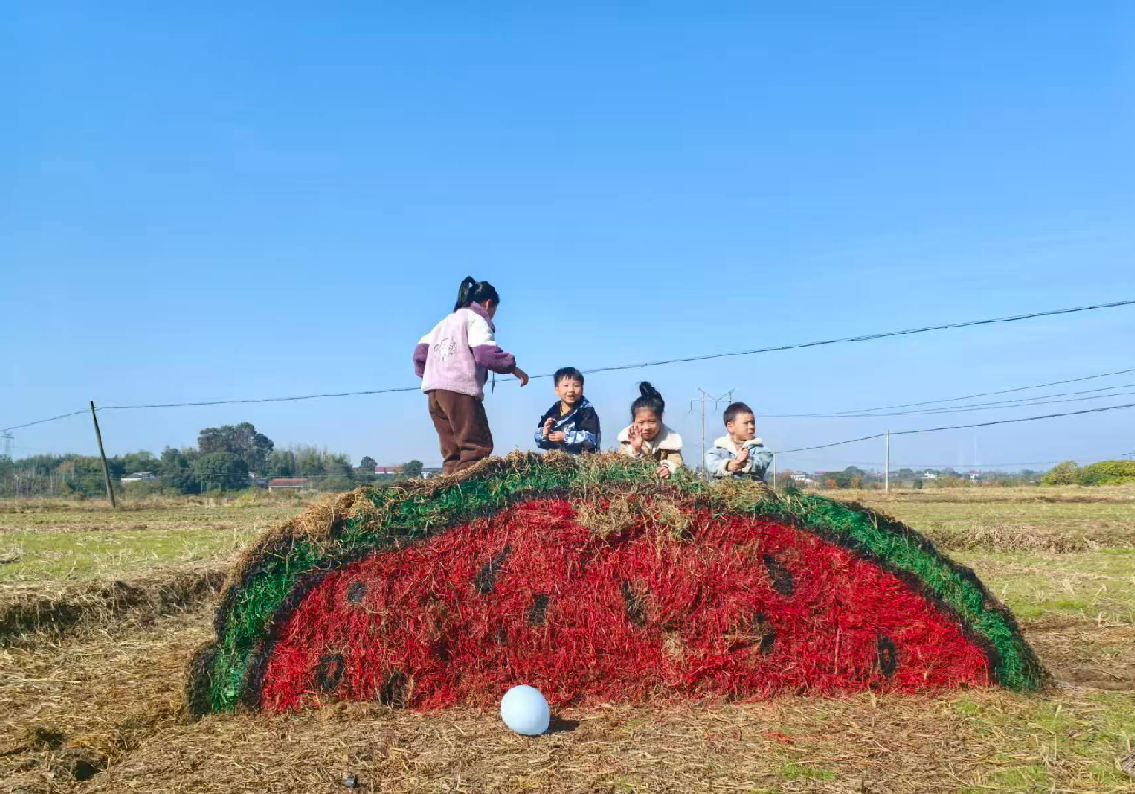 汉寿县聂家桥乡：秸秆“变装”成风景 装点生态新乐园