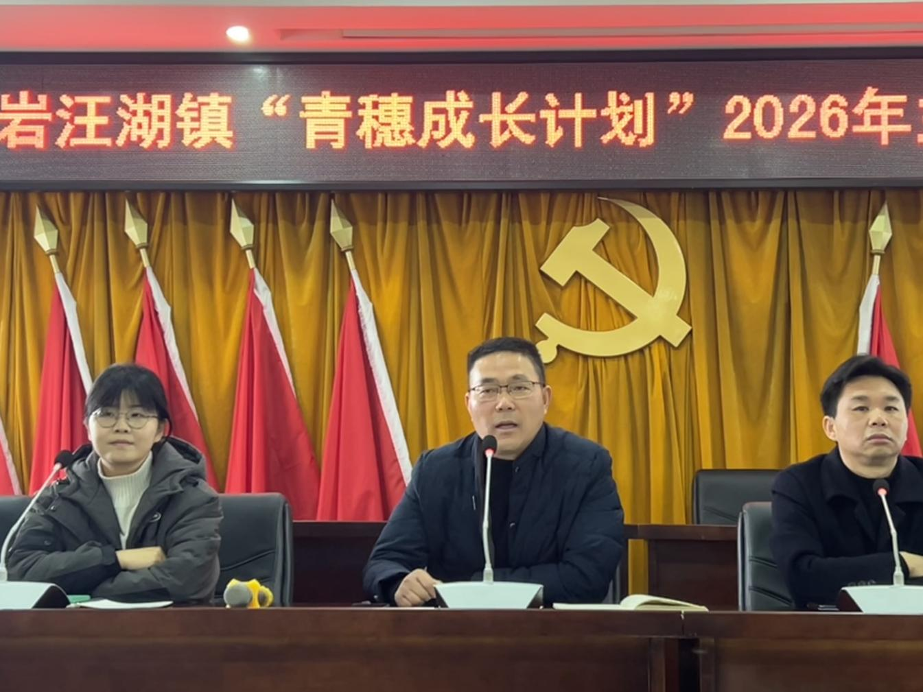 汉寿县岩汪湖镇举办“小年传奋进 青春践担当”青年干部演讲比赛