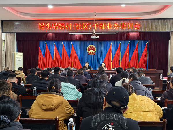 汉寿县罐头嘴镇开展村（社区）干部培训会 赋能基层治理提质增效