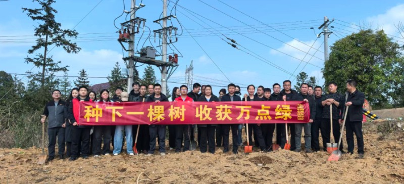 汉寿县朱家铺镇：春风催新绿 植树正当时