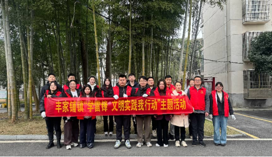 汉寿县丰家铺镇：除草护绿美环境 志愿服务学雷锋