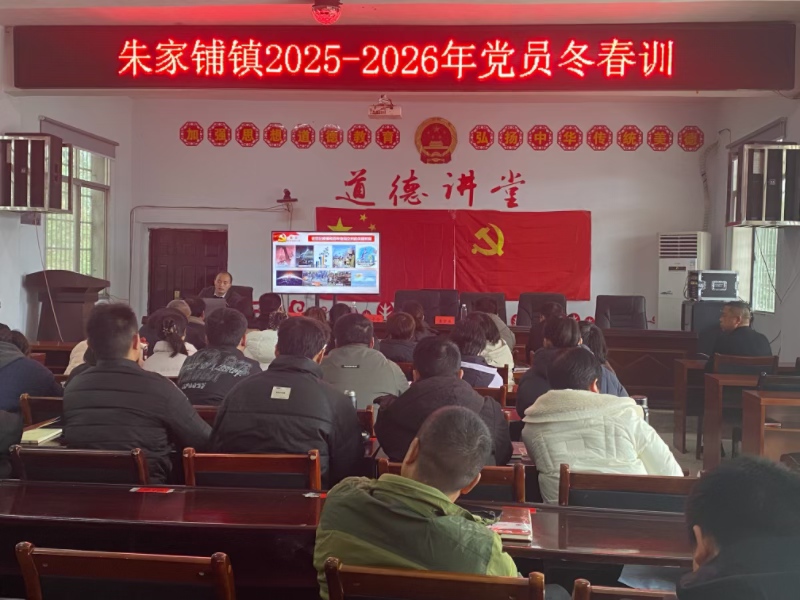 汉寿县朱家铺镇：以学铸魂强党性 以干践行促发展