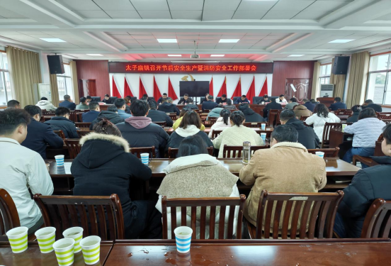 汉寿县太子庙镇：开展烟花爆竹专项整治周行动