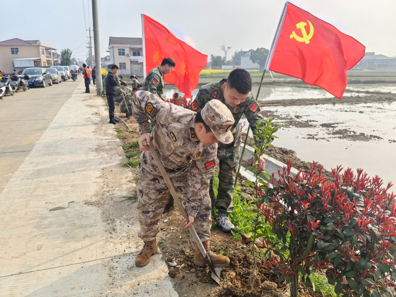 汉寿县岩汪湖镇：民兵与退役军人志愿者赴龙口村植树添绿