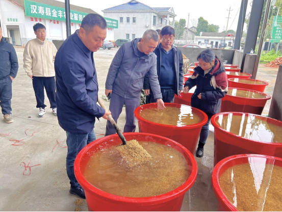 汉寿县毛家滩回维乡：春耕“唱主角” 良种“打头阵”