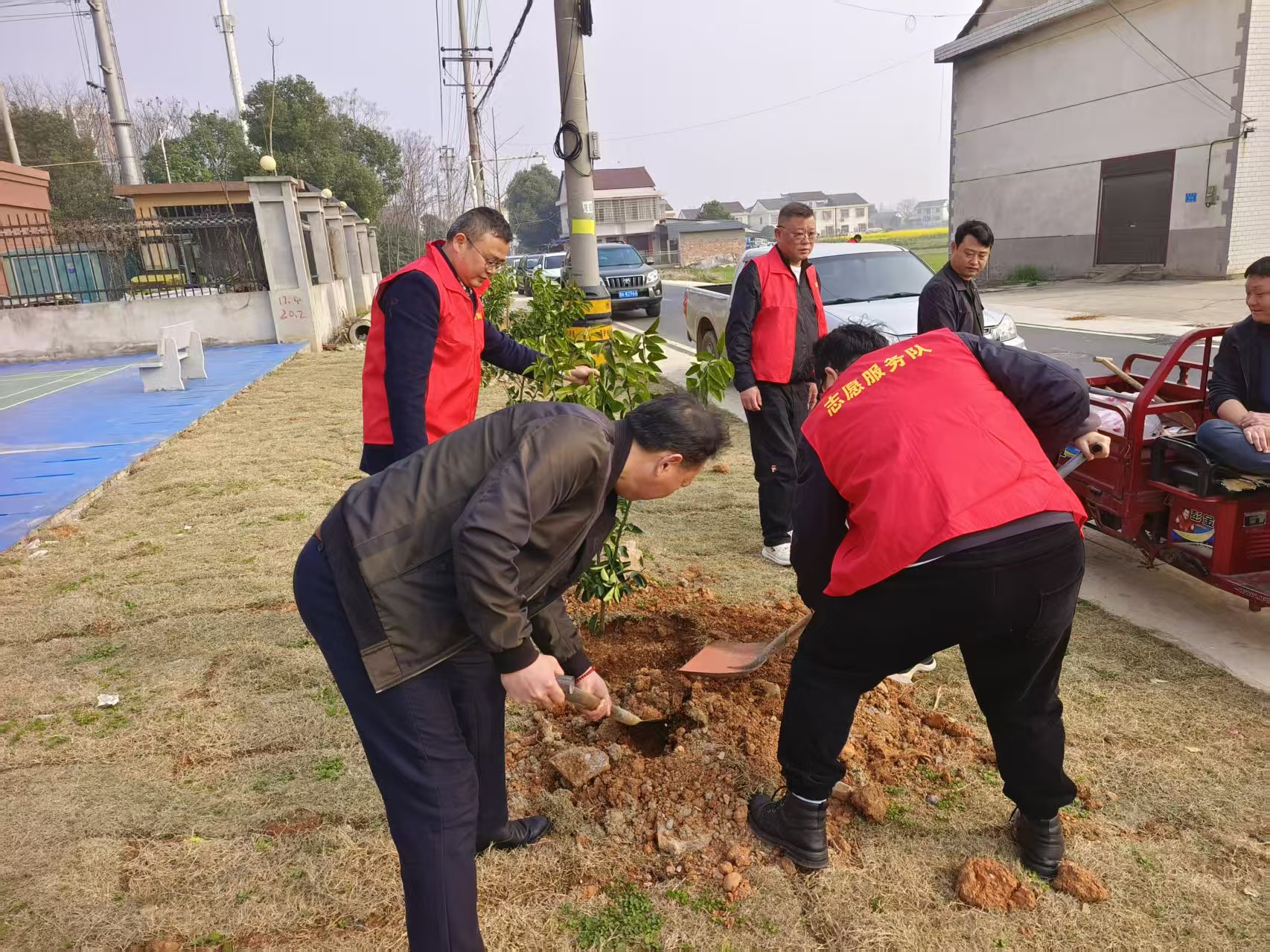 汉寿县龙阳街道：植绿护绿践初心 共建生态新龙阳