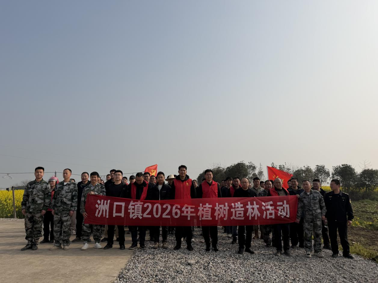 汉寿县洲口镇：开展义务植树活动 共绘生态新画卷