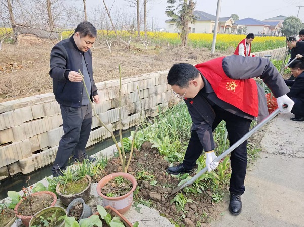 汉寿县酉港镇：植树造林添新绿   保护生态利千秋