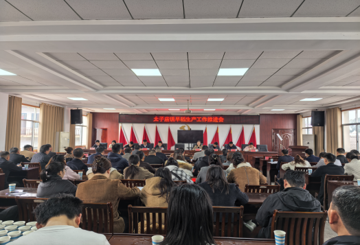 汉寿县太子庙镇：春潮涌动耕新田 稳粮保供启新程