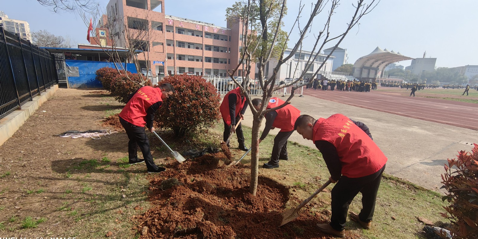 汉寿县詹乐贫中学：不负春光添新绿 詹中校园育新苗