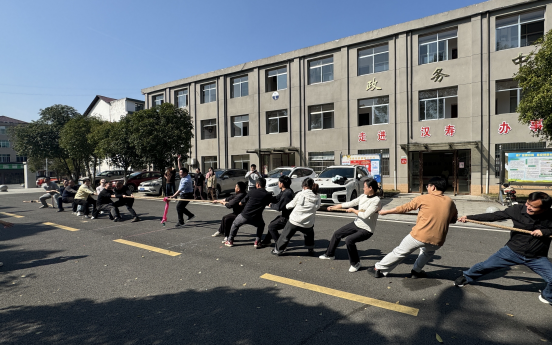 汉寿县丰家铺镇：趣动展风采 聚力焕活力