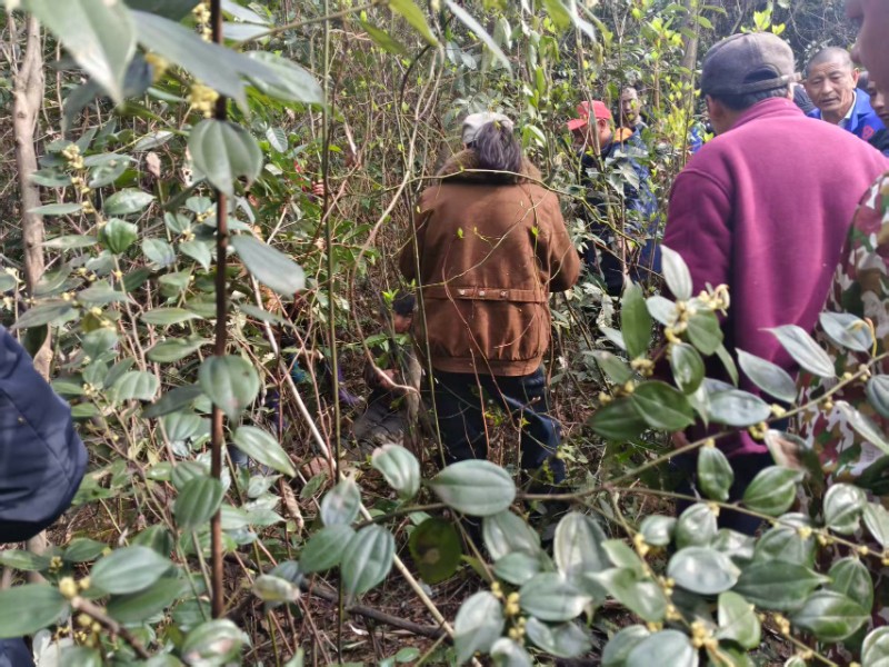汉寿县朱家铺镇：紧急救援失联老人，村“两委”履责护平安