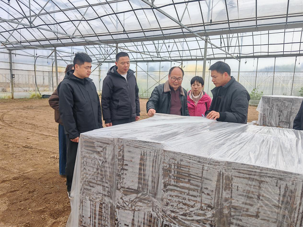 汉寿县酉港镇：科技育苗备春耕 农技服务到田间