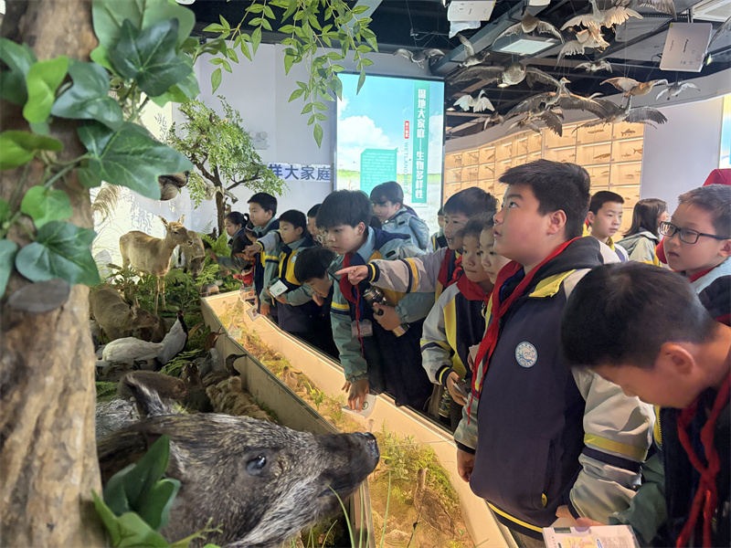 汉寿县岩汪湖镇小学开展爱鸟护鸟实践活动