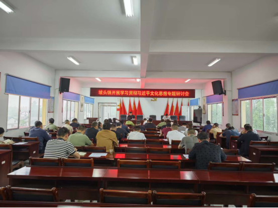 汉寿县坡头镇：开展学习贯彻习近平文化思想专题研讨会