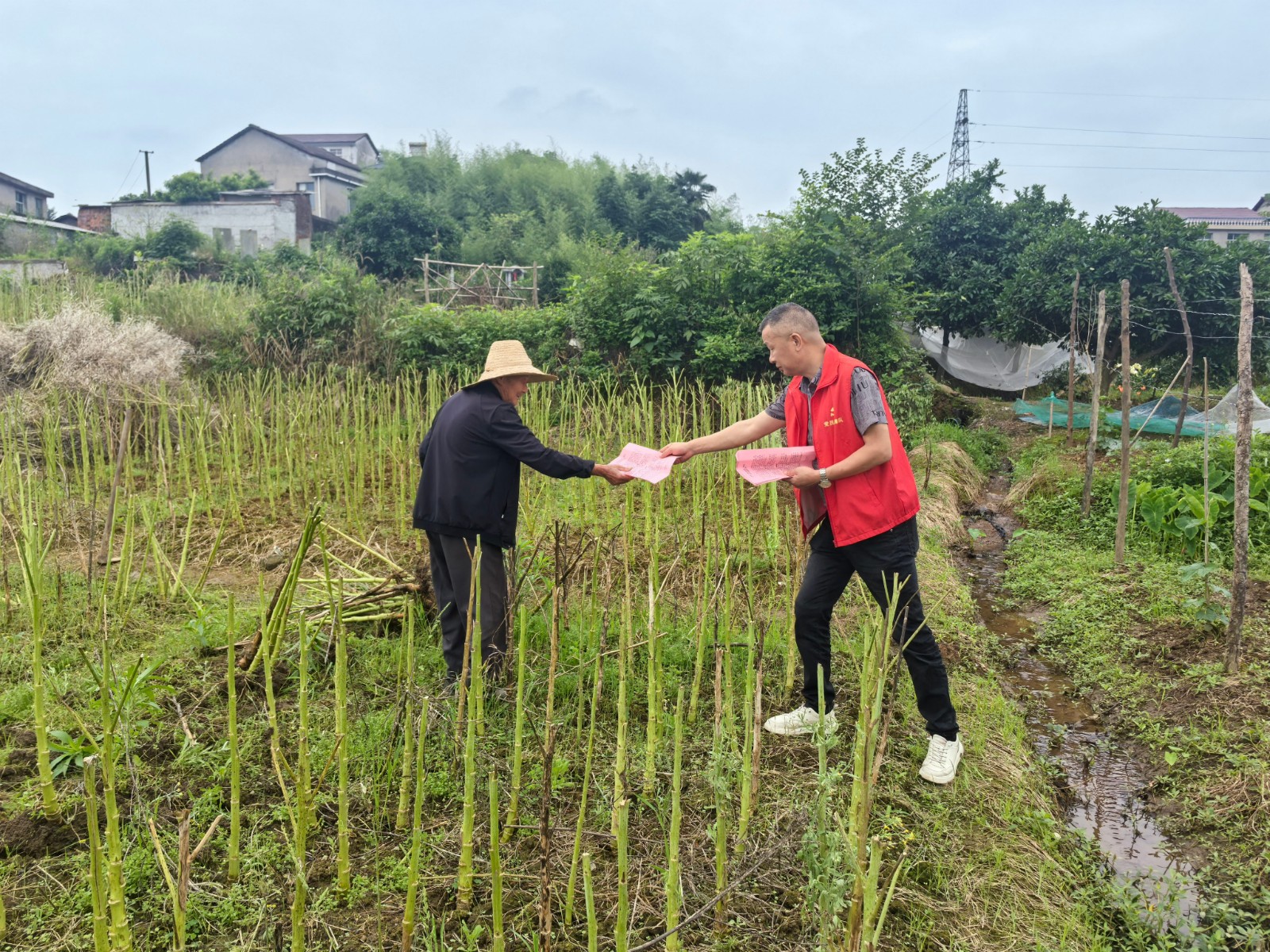 汉寿县蒋家嘴镇：疏堵结合，筑牢秸秆禁限烧防线