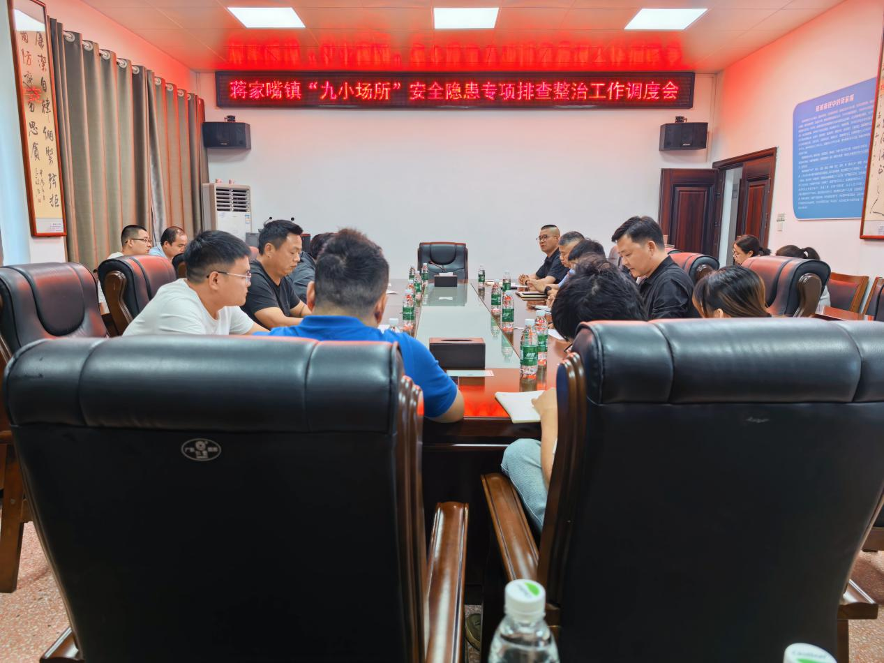 汉寿县蒋家嘴镇：聚焦“九小场所”精准发力，全力筑牢安全屏障