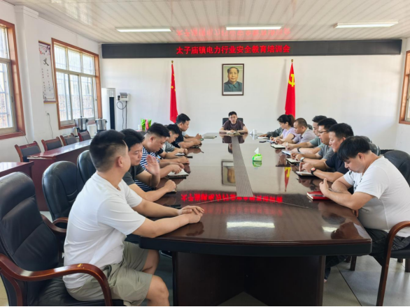 汉寿县太子庙镇： 开展电力安全教育培训 筑牢夏季用电“安全网”