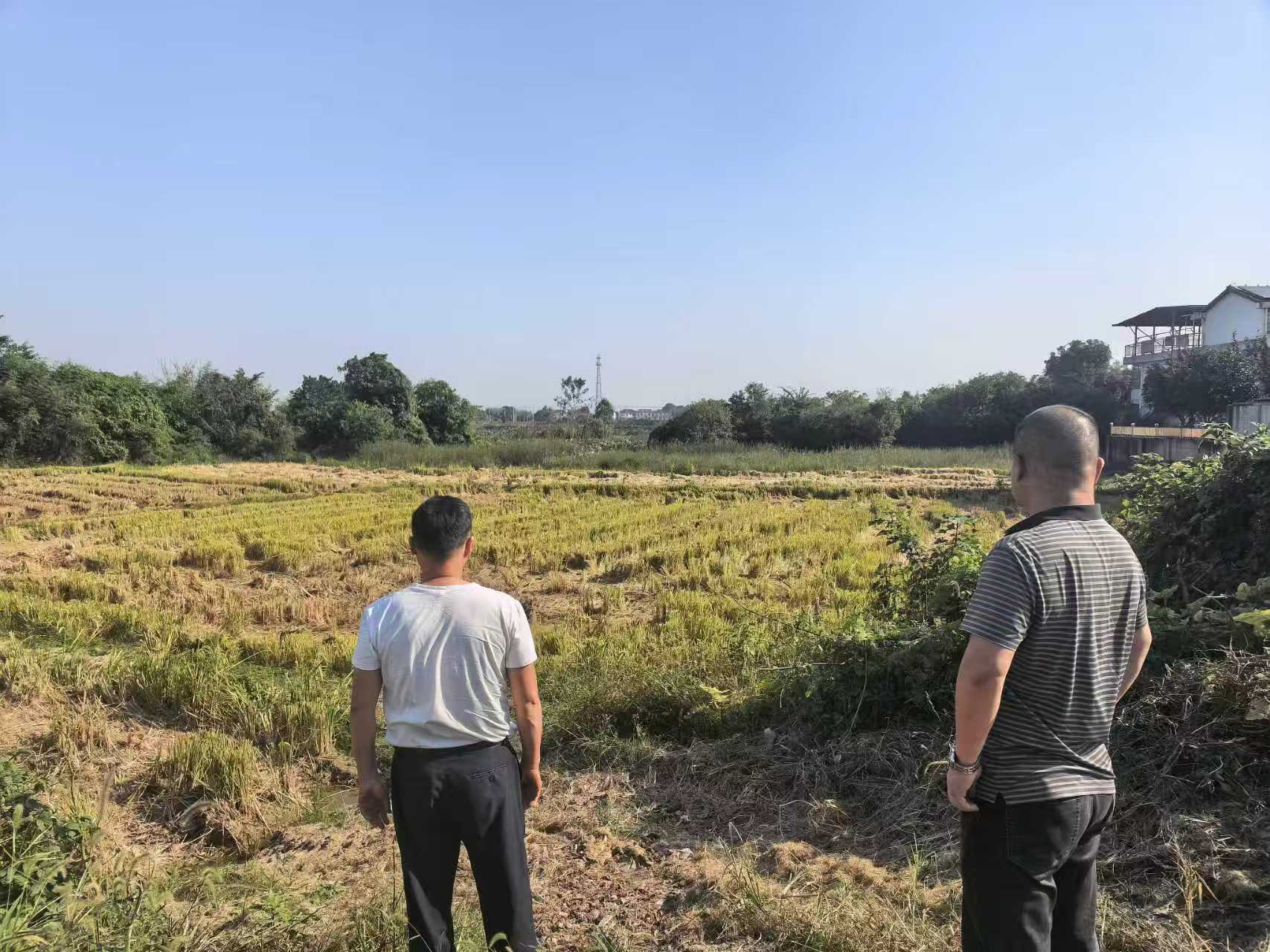 汉寿县城市管理和综合执法局：秸秆禁限烧管控 守护蓝天净土