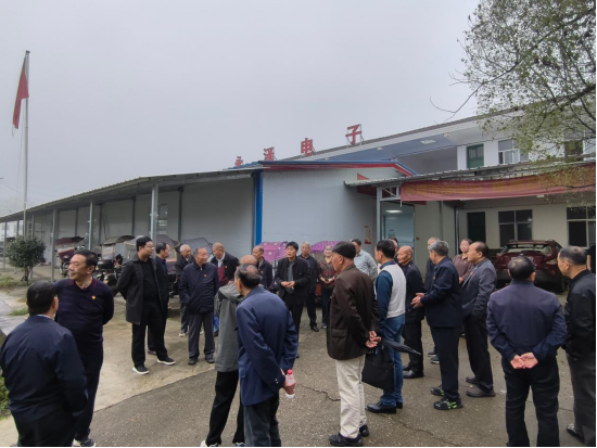 忆往昔、看今朝、话未来：龙潭桥镇开展重阳节老干部活动
